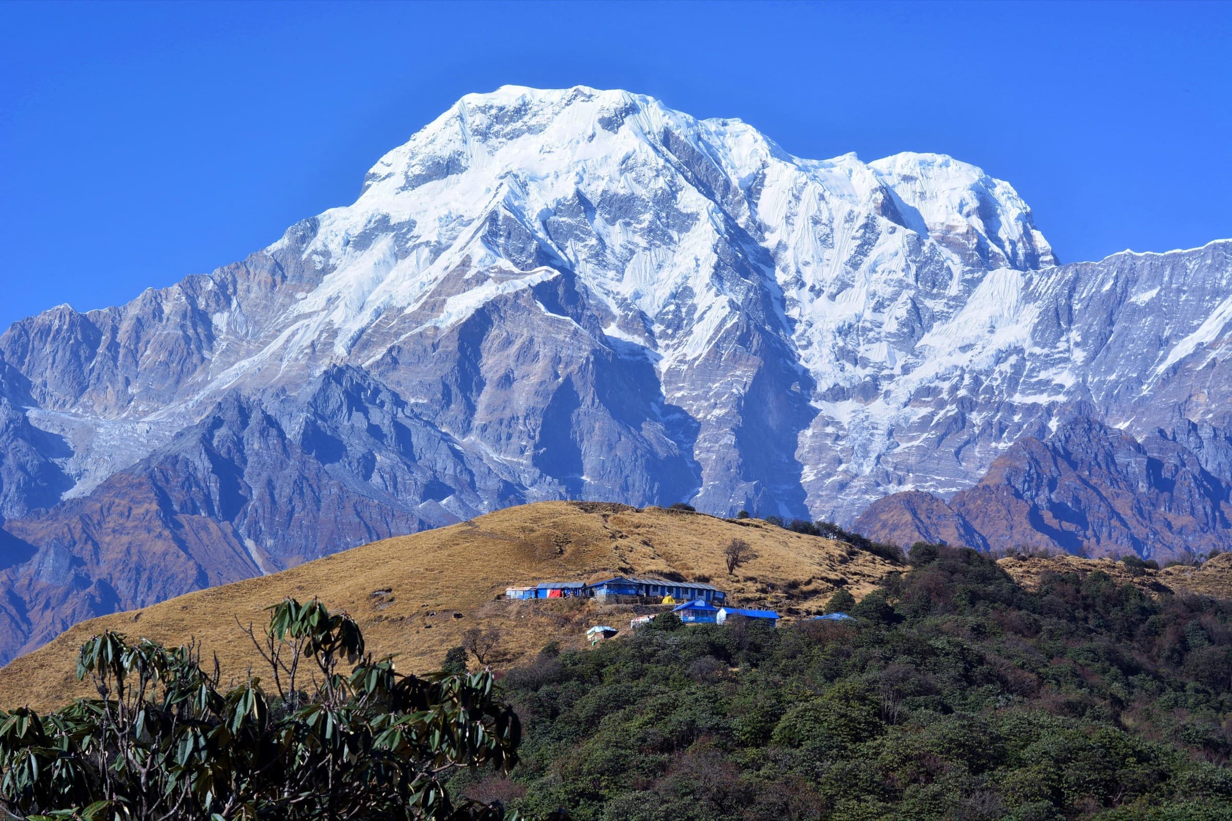 Mardi Himal Trek photo 1