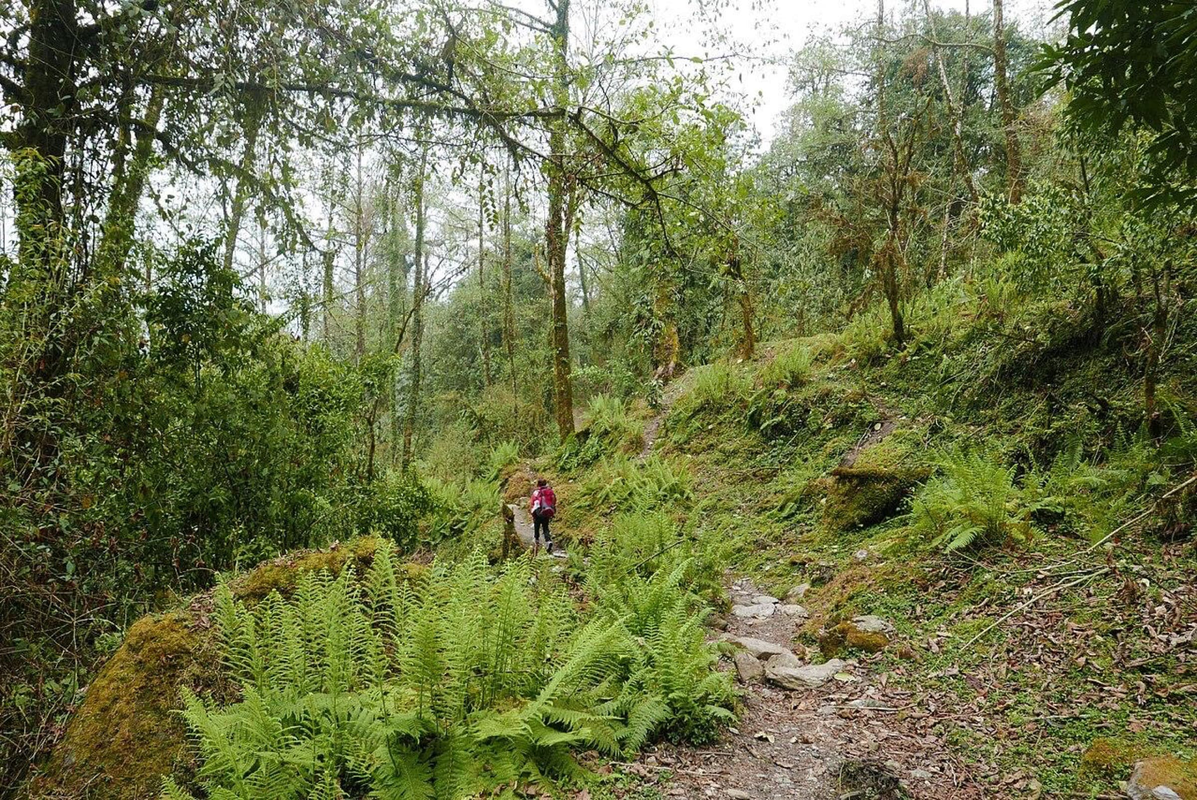 Mardi Himal Trek photo 5